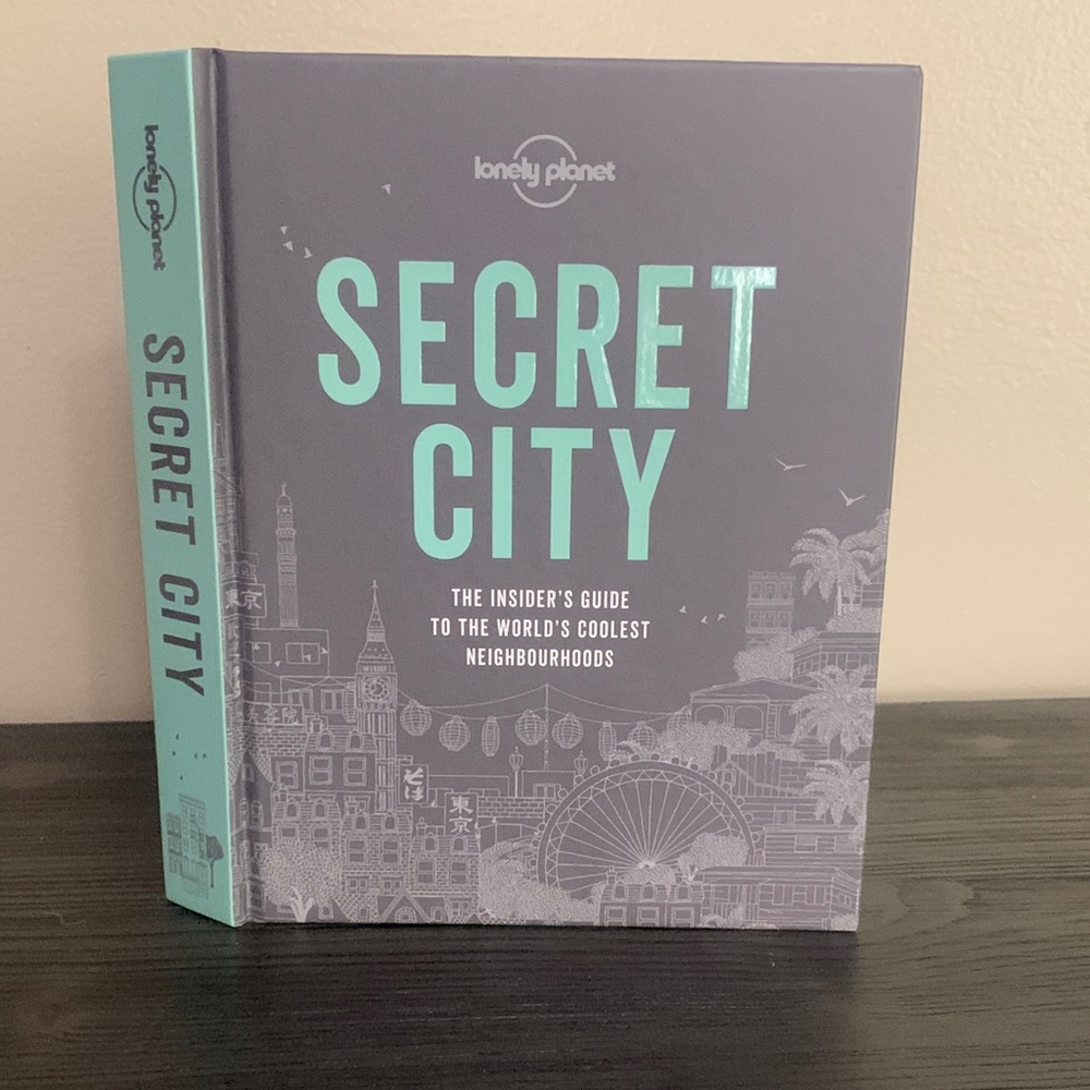 Secret City Book - Gray and Mint